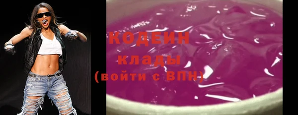 ECSTASY Алзамай