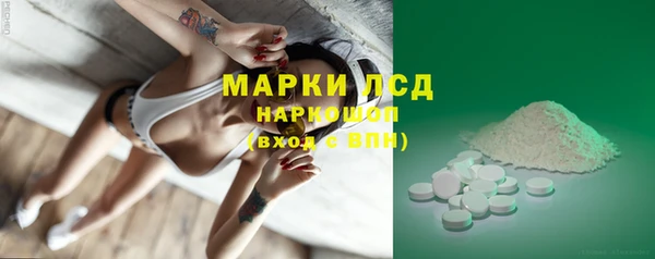 ECSTASY Алзамай
