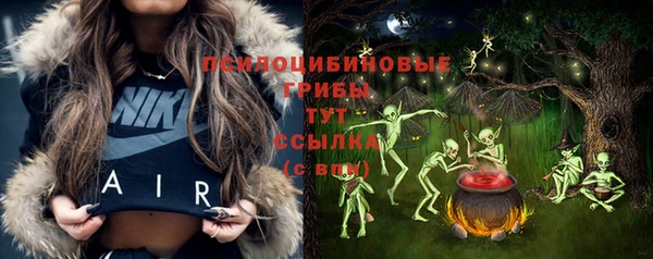 а пвп мука Карпинск
