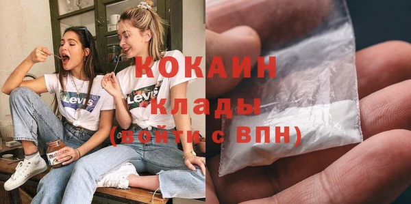 ECSTASY Алзамай