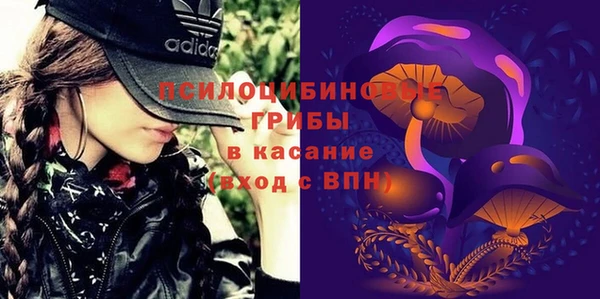 ECSTASY Алзамай