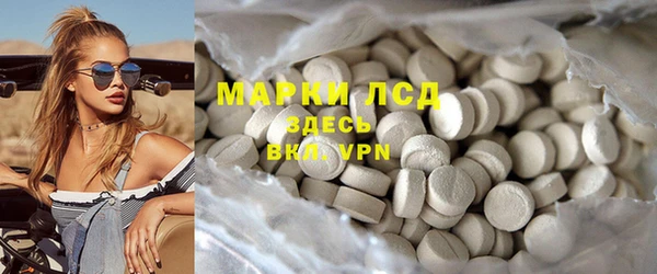 ECSTASY Алзамай
