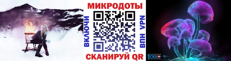 мега Боровск Псилоцибиновые грибы Psilocybine cubensis